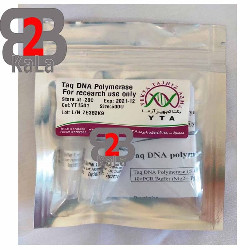 آنزیم DNA  پلیمراز 