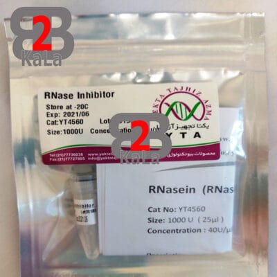 آنزیم محدودکننده RNase inhibitor