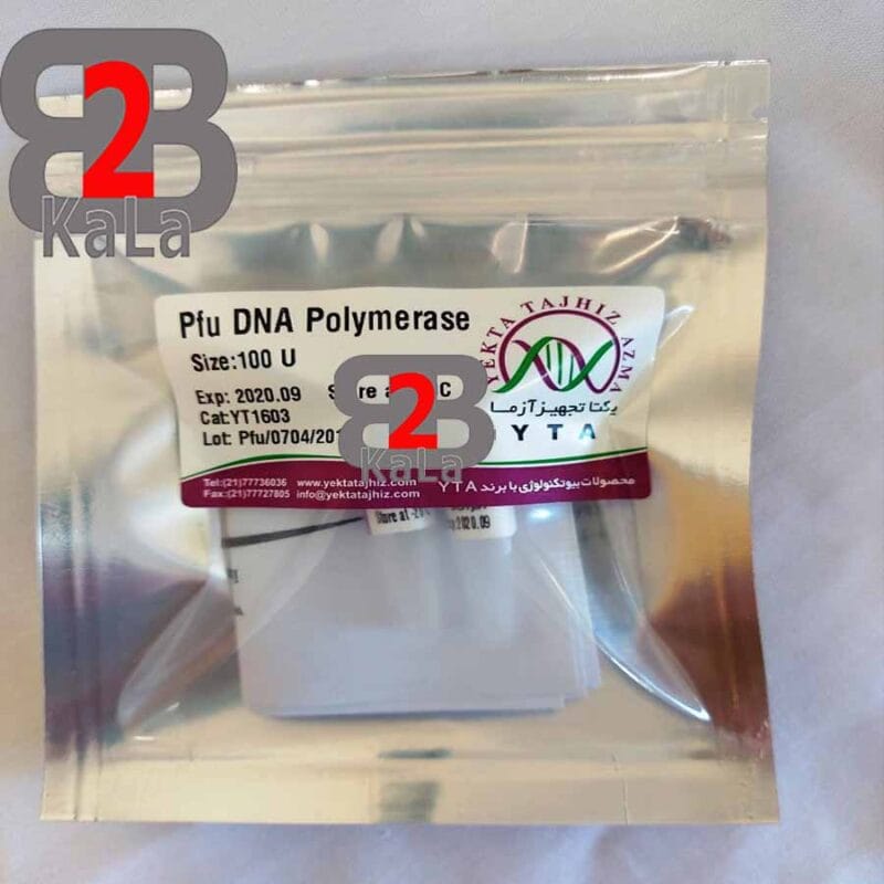 آنزیم Pfu DNA polymerase