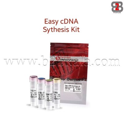 کیت سنتز cDNA