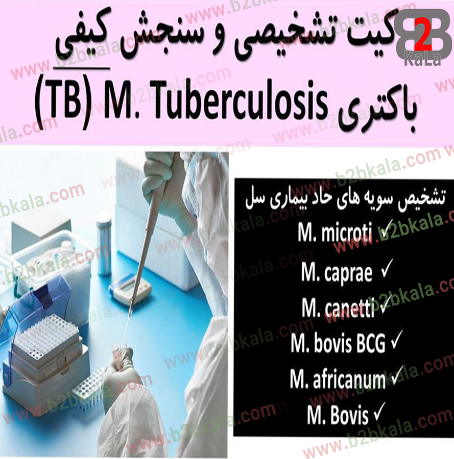 /کیت سنجش و تشخیص کیفی باکتری TB